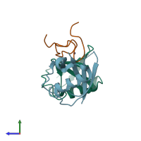 PDB entry 2wx1 coloured by chain, side view.