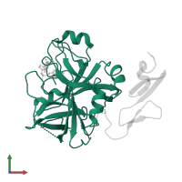 Activated factor Xa heavy chain in PDB entry 2wyg, assembly 1, front view.