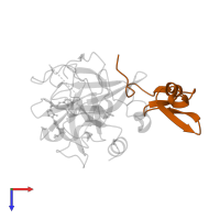 Factor X light chain in PDB entry 2wyg, assembly 1, top view.