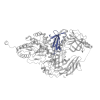 The deposited structure of PDB entry 2wyh contains 2 copies of Pfam domain PF17677 (Glycosyl hydrolases family 38 C-terminal beta sandwich domain) in Glycoside hydrolase family 38 central domain-containing protein. Showing 1 copy in chain A.