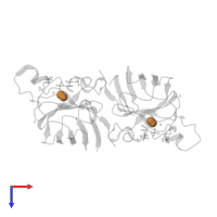 COPPER (II) ION in PDB entry 2wyt, assembly 1, top view.