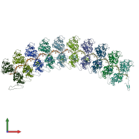 PDB entry 2wyy coloured by chain, front view.