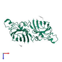 Superoxide dismutase [Cu-Zn] in PDB entry 2wz0, assembly 1, top view.