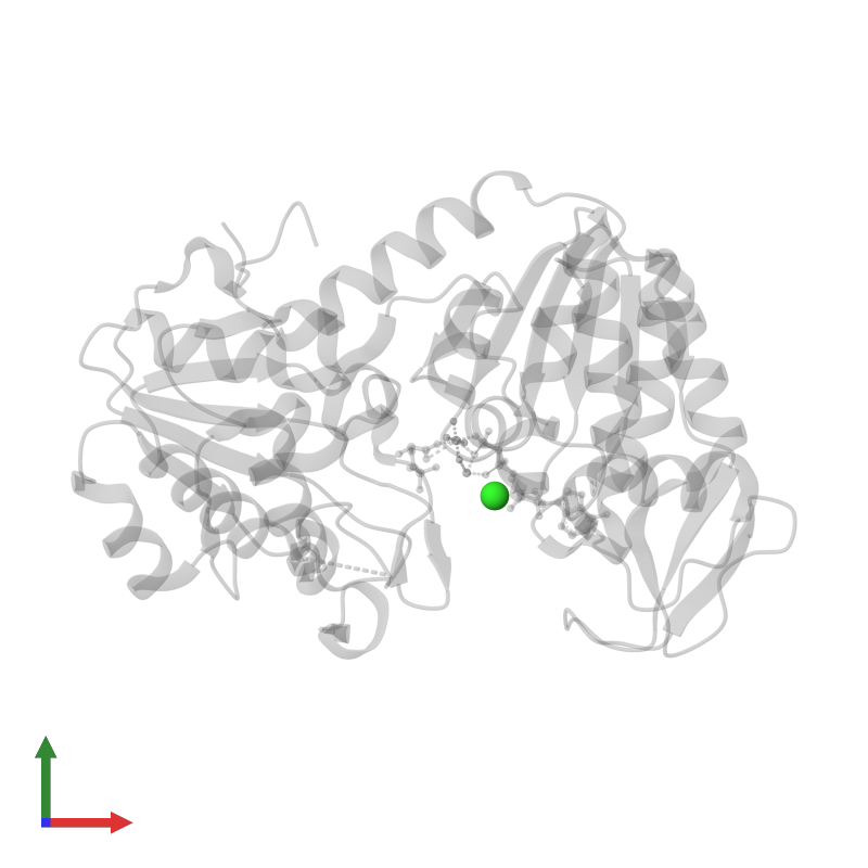 PDB 2wzc gallery ‹ Protein Data Bank in Europe (PDBe) ‹ EMBLEBI