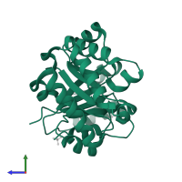 Triosephosphate isomerase, glycosomal in PDB entry 2x1u, assembly 1, side view.