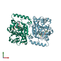 PDB entry 2x22 coloured by chain, front view.