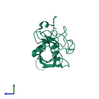 Peptidyl-prolyl cis-trans isomerase A in PDB entry 2x25, assembly 1, side view.