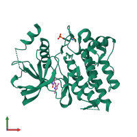 PDB entry 2x2k coloured by chain, front view.
