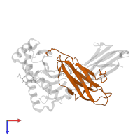 Beta-2-microglobulin in PDB entry 2x4t, assembly 2, top view.