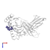 65 kDa phosphoprotein in PDB entry 2x4t, assembly 2, top view.