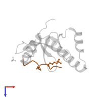 Histone H3.2 in PDB entry 2x4y, assembly 2, top view.