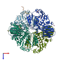 PDB entry 2x5k coloured by chain, top view.