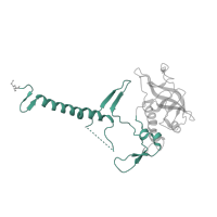 The deposited structure of PDB entry 2x5v contains 1 copy of CATH domain 4.10.540.10 (Photosynthetic Reaction Center; Chain H, domain 1) in Reaction center protein H chain. Showing 1 copy in chain B [auth H].