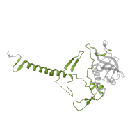 The deposited structure of PDB entry 2x5v contains 1 copy of Pfam domain PF03967 (Photosynthetic reaction centre, H-chain N-terminal region) in Reaction center protein H chain. Showing 1 copy in chain B [auth H].