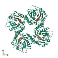 Homo tetrameric assembly 1 of PDB entry 2x61 coloured by chemically distinct molecules, front view.
