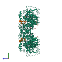 Homo tetrameric assembly 1 of PDB entry 2x61 coloured by chemically distinct molecules, side view.