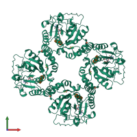 Homo tetrameric assembly 2 of PDB entry 2x61 coloured by chemically distinct molecules, front view.