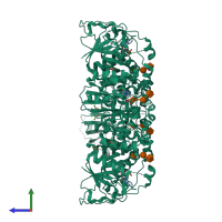 Homo tetrameric assembly 2 of PDB entry 2x61 coloured by chemically distinct molecules, side view.