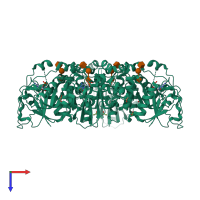 Homo tetrameric assembly 2 of PDB entry 2x61 coloured by chemically distinct molecules, top view.