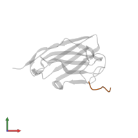 Alpha-synuclein in PDB entry 2x6m, assembly 1, front view.