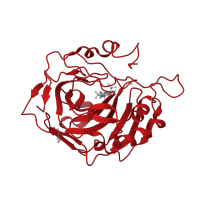 The deposited structure of PDB entry 2x7t contains 1 copy of CATH domain 3.10.200.10 (Carbonic Anhydrase II) in Carbonic anhydrase 2. Showing 1 copy in chain A.