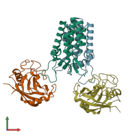 PDB entry 2x83 coloured by chain, front view.