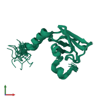 PDB entry 2x8n coloured by chain, ensemble of 20 models, front view.