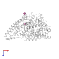 2-acetamido-2-deoxy-beta-D-glucopyranose in PDB entry 2x97, assembly 1, top view.