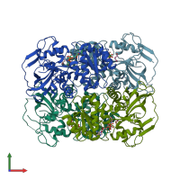 PDB entry 2xaa coloured by chain, front view.