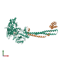 PDB entry 2xaf coloured by chain, front view.