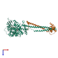 PDB entry 2xaf coloured by chain, top view.