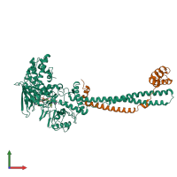 PDB entry 2xah coloured by chain, front view.