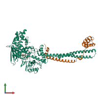 PDB entry 2xaj coloured by chain, front view.