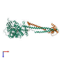 PDB entry 2xaj coloured by chain, top view.