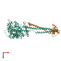 PDB entry 2xaq coloured by chain, top view.