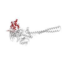 The deposited structure of PDB entry 2xas contains 1 copy of CATH domain 1.10.10.10 (Arc Repressor Mutant, subunit A) in Lysine-specific histone demethylase 1A. Showing 1 copy in chain A.