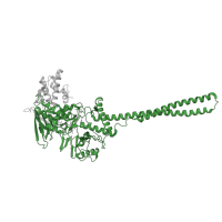 The deposited structure of PDB entry 2xas contains 1 copy of Pfam domain PF01593 (Flavin containing amine oxidoreductase) in Lysine-specific histone demethylase 1A. Showing 1 copy in chain A.