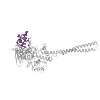The deposited structure of PDB entry 2xas contains 1 copy of Pfam domain PF04433 (SWIRM domain) in Lysine-specific histone demethylase 1A. Showing 1 copy in chain A.