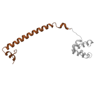 The deposited structure of PDB entry 2xas contains 1 copy of Pfam domain PF20878 (Helical region in REST corepressor) in REST corepressor 1. Showing 1 copy in chain B.