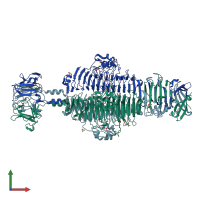 PDB entry 2xc1 coloured by chain, front view.