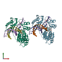 PDB entry 2xcp coloured by chain, front view.