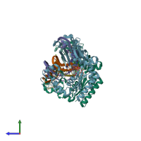 PDB entry 2xcp coloured by chain, side view.