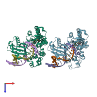 PDB entry 2xcp coloured by chain, top view.