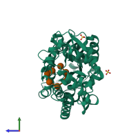 PDB entry 2xd3 coloured by chain, side view.