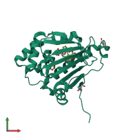 PDB entry 2xd6 coloured by chain, front view.