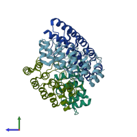 PDB entry 2xee coloured by chain, side view.