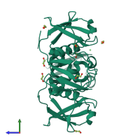 Homo tetrameric assembly 1 of PDB entry 2xew coloured by chemically distinct molecules, side view.
