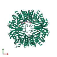 Homo tetrameric assembly 2 of PDB entry 2xf8 coloured by chemically distinct molecules, front view.