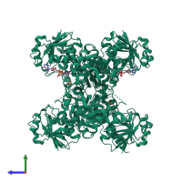 Homo tetrameric assembly 2 of PDB entry 2xf8 coloured by chemically distinct molecules, side view.