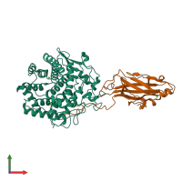 PDB entry 2xfg coloured by chain, front view.